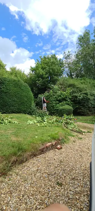 A gravel path beside a freshly edged lawn and clipped shrubs
