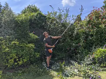 A gardener cutting back a tall overgrown hedge