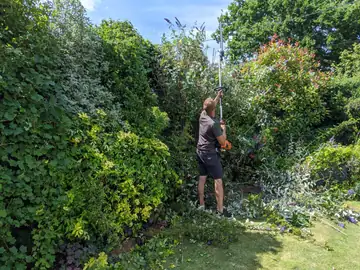 A gardener trimming a tall hedge with a pole cutter