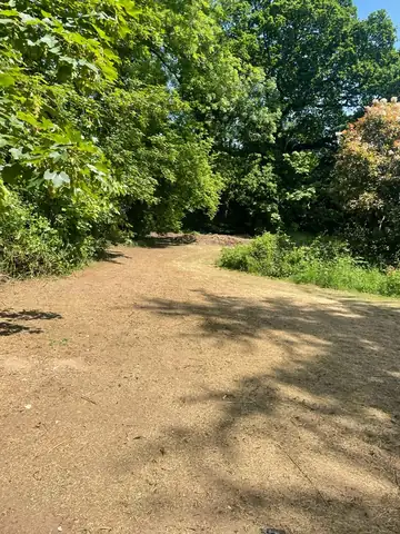 A cleared and levelled area of ground ready for turf