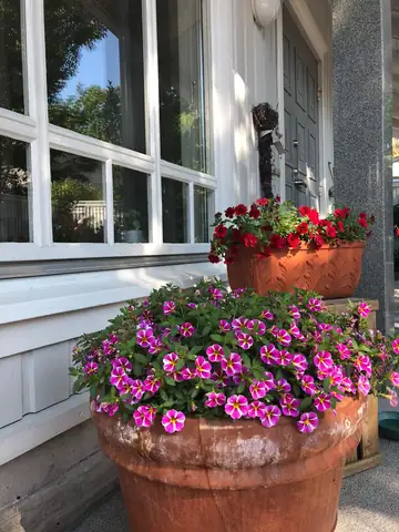 Pots of pink and red flowers beside a front door