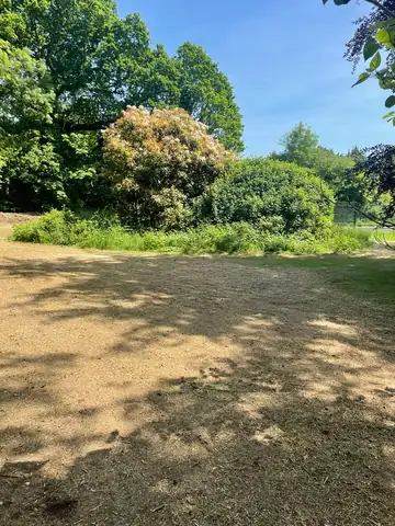 A large cleared and levelled area ready for a new lawn