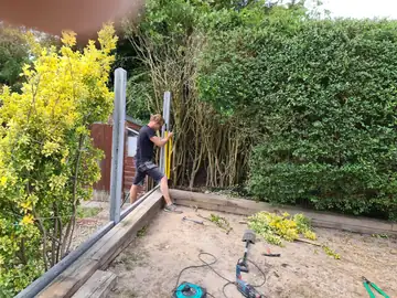 Building a raised bed alongside a clipped hedge