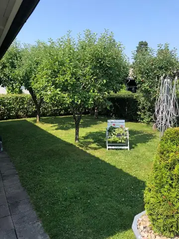A mown lawn with fruit trees and a garden bench