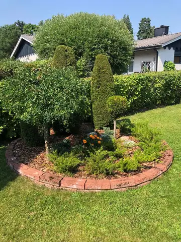 A circular brick-edged bed with clipped topiary
