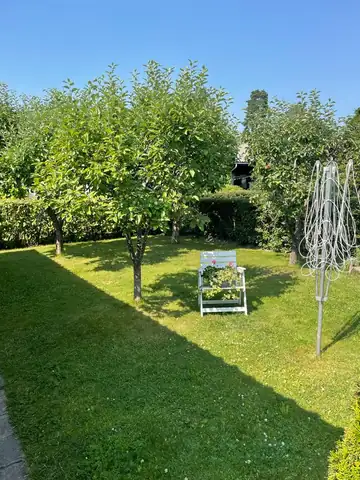 A striped lawn with fruit trees in summer