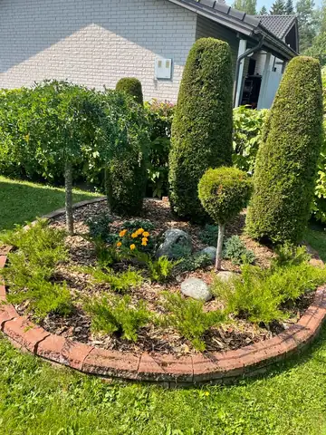 A circular planted bed with topiary and a brick edge
